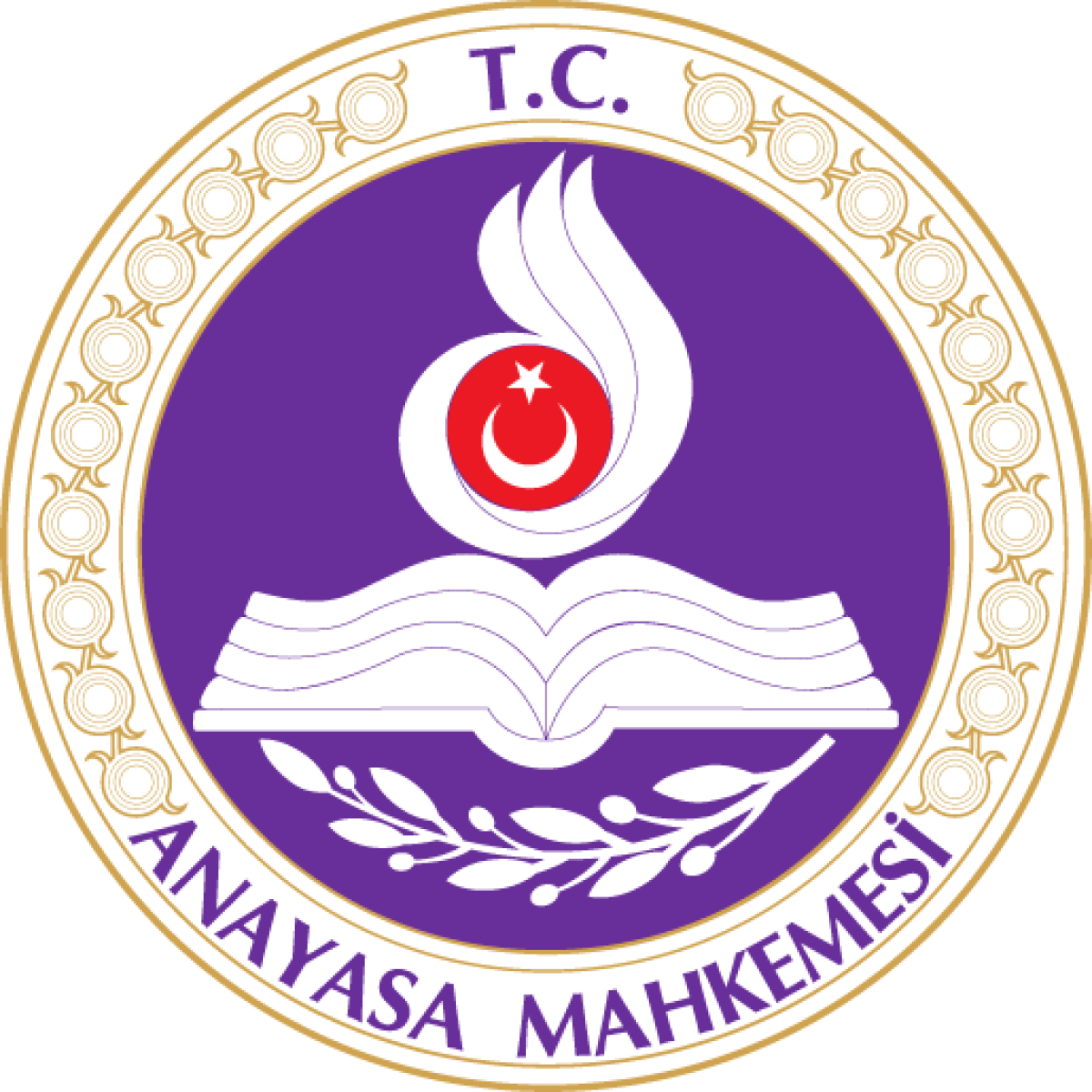 T.C. Anayasa Mahkemesi